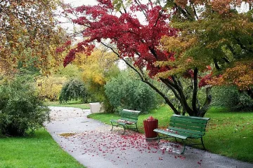 Застудяване с дъжд