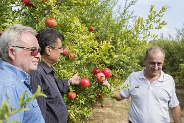 Приятел на Станишев гледа 165 000 нарови дървета