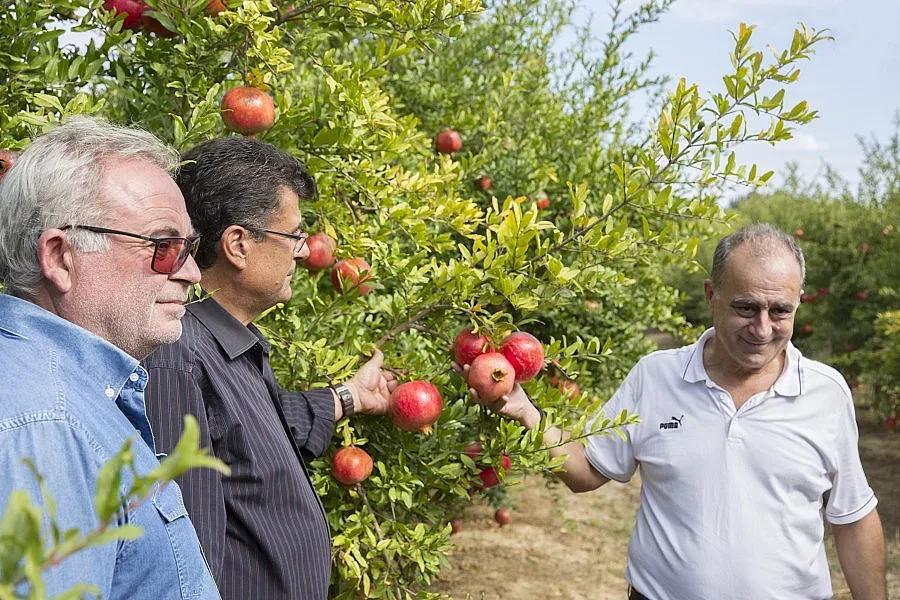 Приятел на Станишев гледа 165 000 нарови дървета