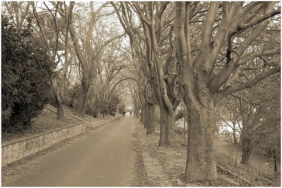 Студено и ветровито