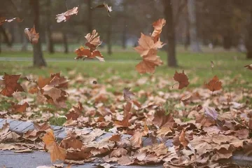 Застудяване