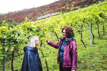 Българска снаха бори ерозията в лозята на Саксония-Анхалт