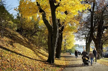 Пореден топъл ден