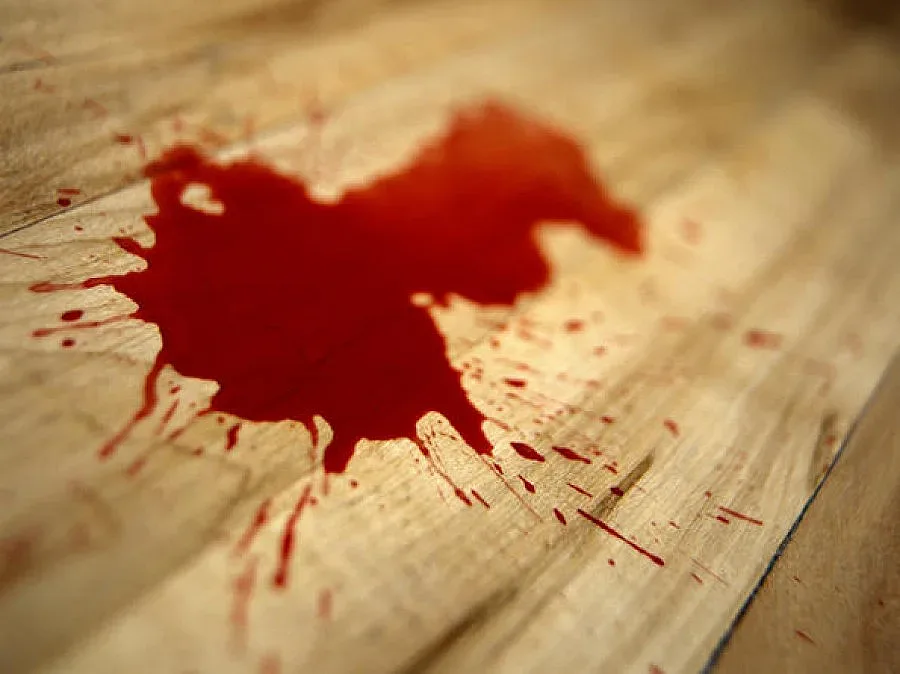 Роми пребиха служители на Горското 