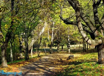 Топла събота