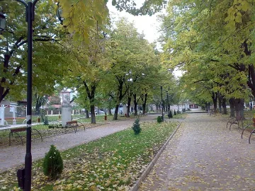 Откриха мъртво бебе, родено в парк