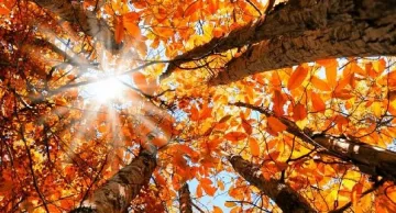 Топло, до 24 градуса