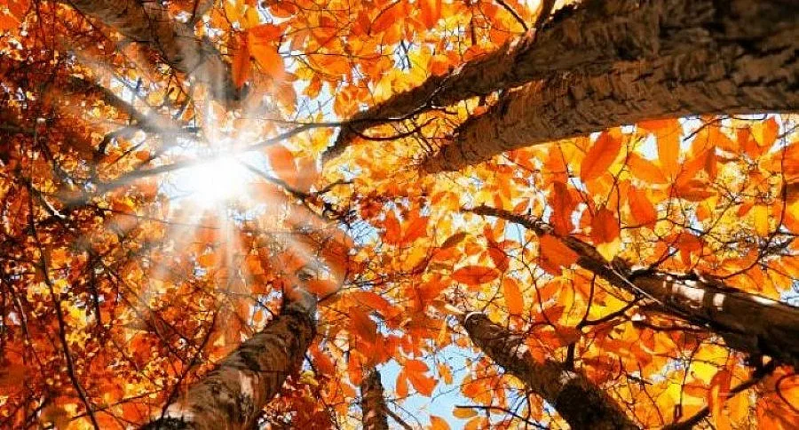 Топло, до 24 градуса