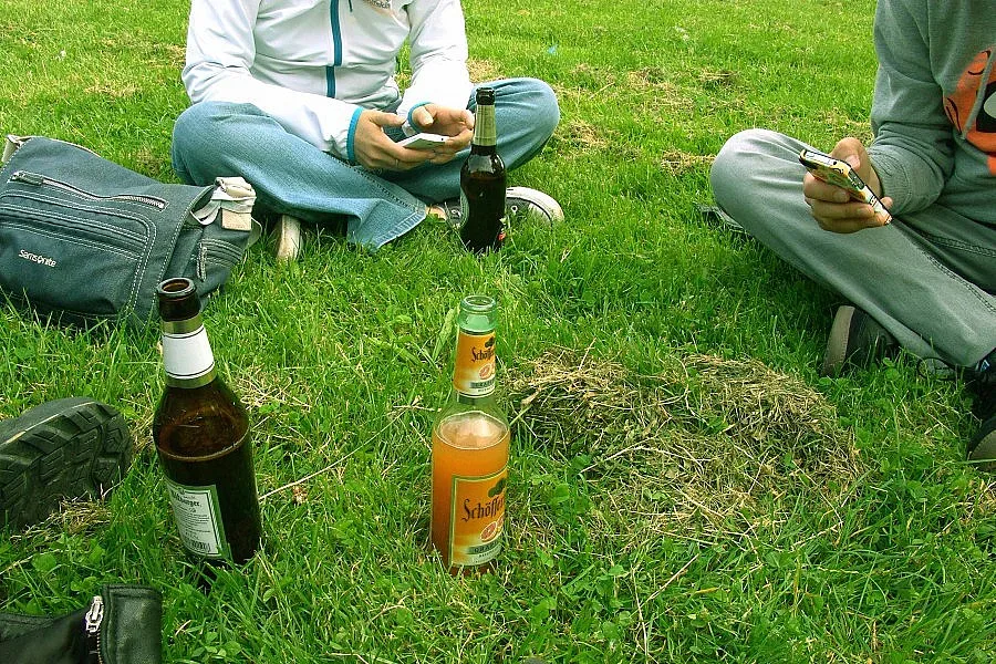 Забраняват бирата в парковете в София