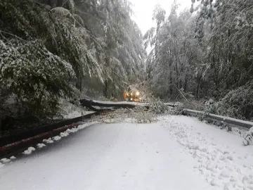 Отвориха Троян-Кърнаре