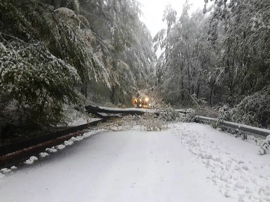 Отвориха Троян-Кърнаре