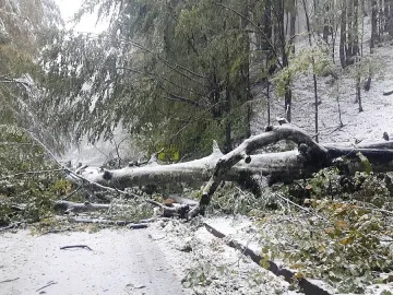 Продължава чистенето на проходите "Петрохан" и "Троянски"