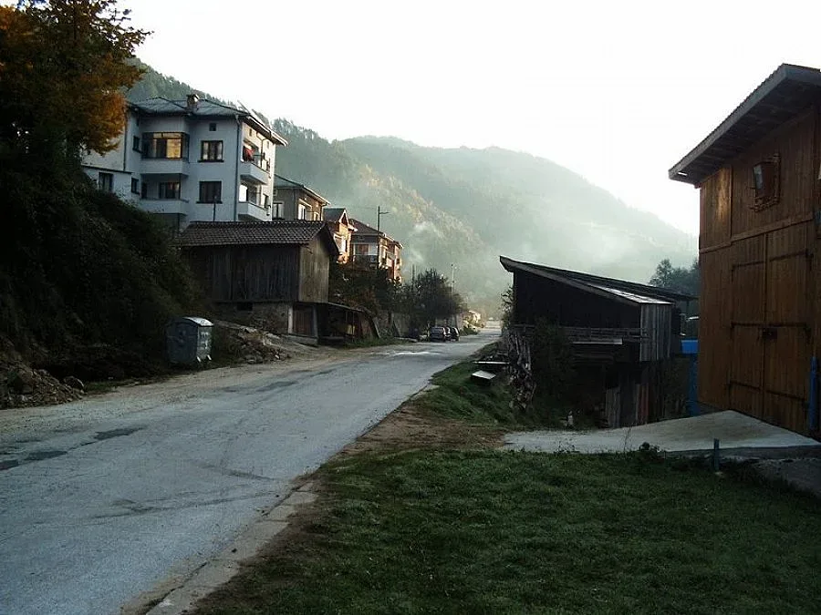 Откриха изгубилите се в гора ловци 