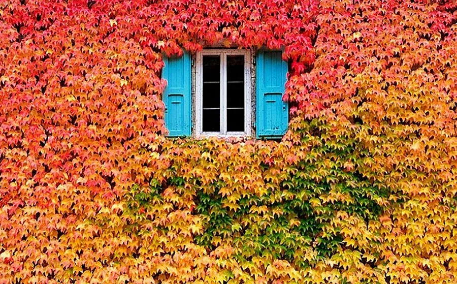 Слънце за едни, дъжд за други