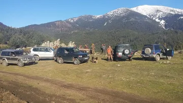 Тръгват хайките за прасета