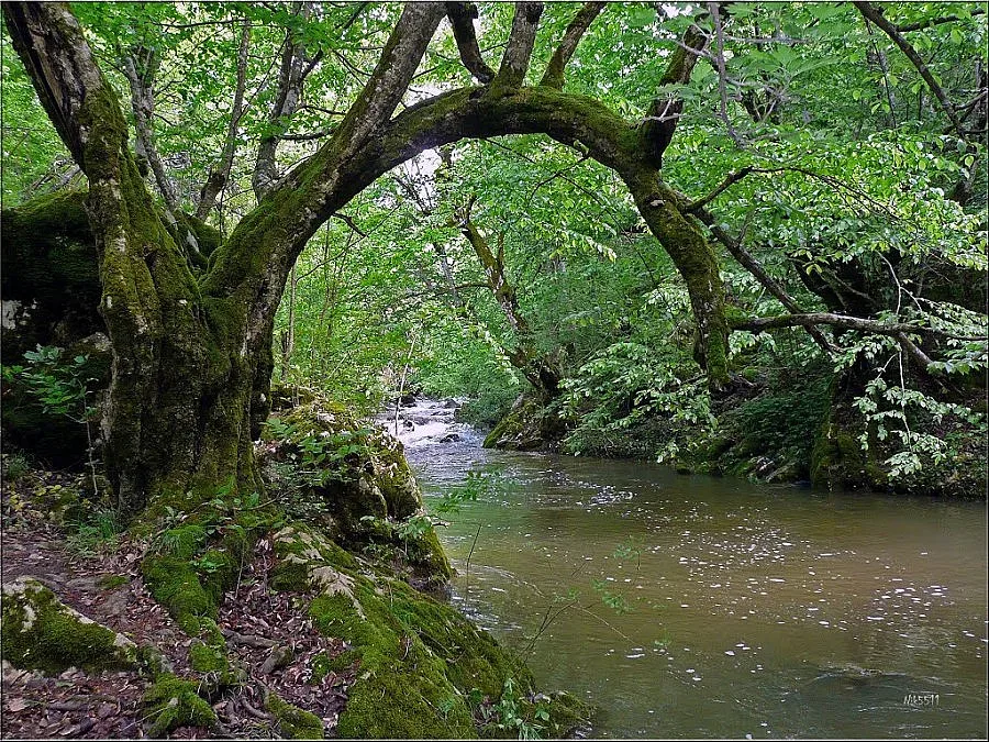 Частично бедствено положение в Малко Търново