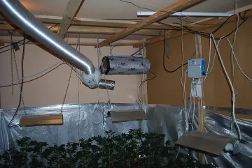 Модерна нарколаборатория за канабис разкриха в Сливен