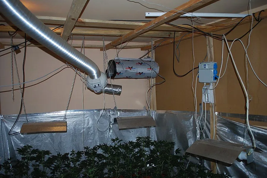 Модерна нарколаборатория за канабис разкриха в Сливен