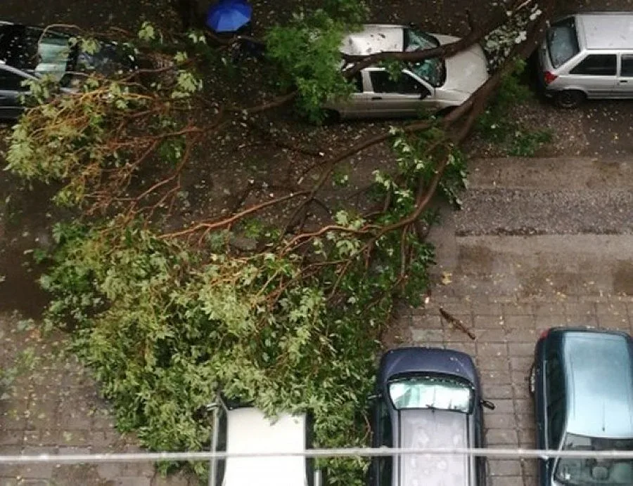 Срути се таванът на НАП в Пловдив заради порой