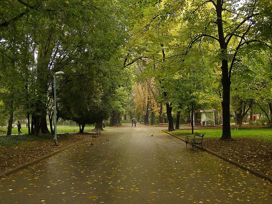 Есенно застудяване