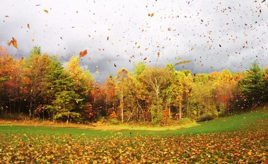 Духа от Запад