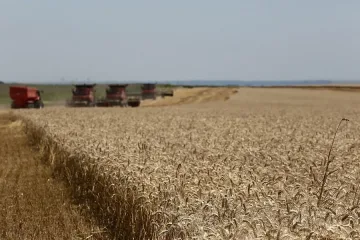 Отпадна задължението на земеделците да регистрират семената си