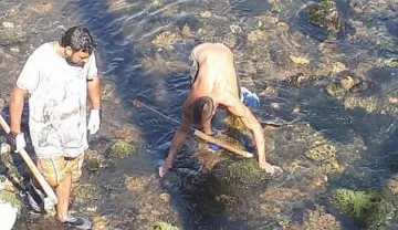 Бракониери замерят с камъни инспектори на ИАРА