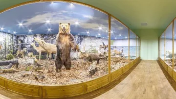 Пловдив инвестирал над 3 млн. лева в музей