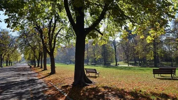 Прекрасно циганско лято