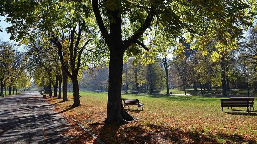 Прекрасно циганско лято