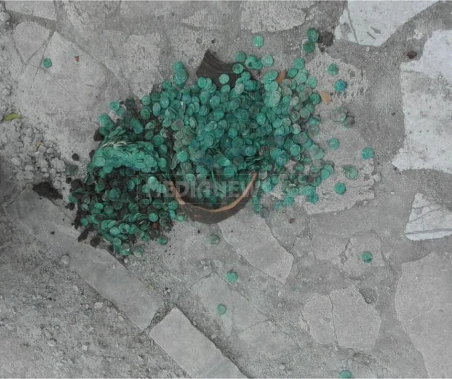 Откриха имане в корените на дърво в Мездра