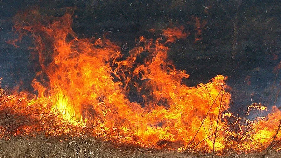 Потушиха пожара край Благоевград