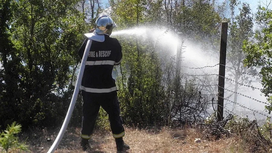 Нов пожар в Благоевградско