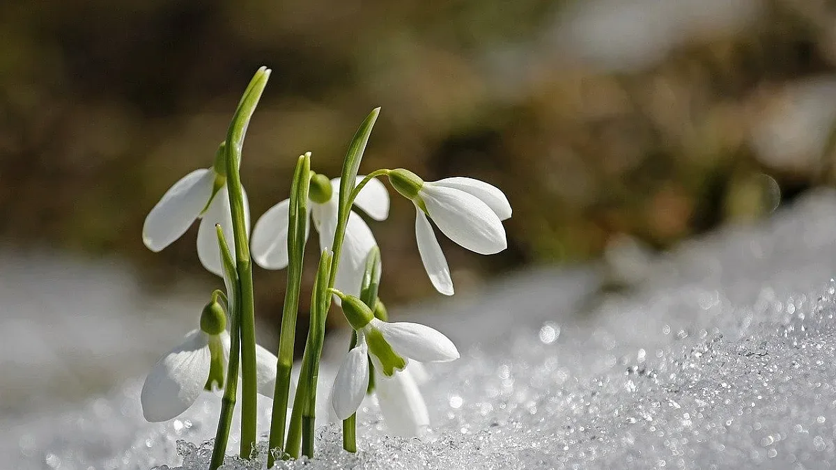 Времето се обръща. Носи три изненади