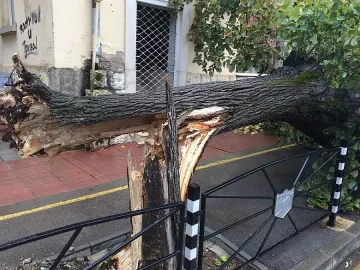 Буря помете и остави без ток Северозапада