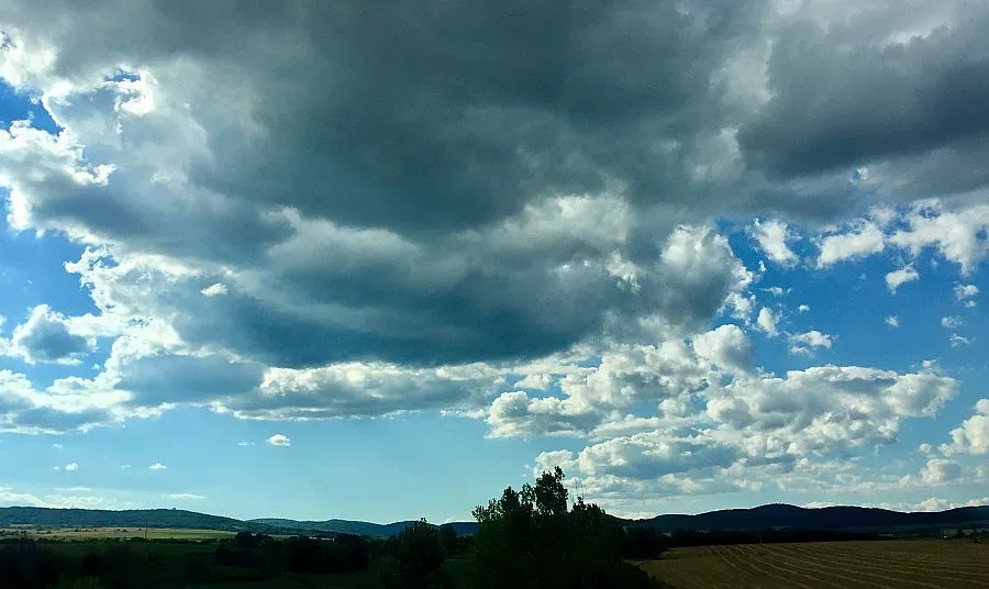 Проливен дъжд и бурен вятър обрулиха дървета в София /ОБНОВЕНА/