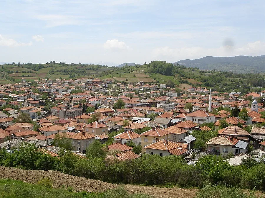 Миграцията може да затвори училища в Сатовча