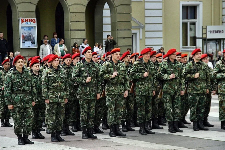 Армията годна, но иска хора, пари и техника