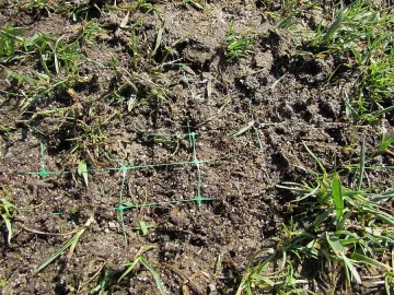 ММС назначава комисия за оценка на терена на стадиона в Русе