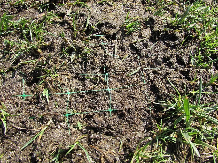 ММС назначава комисия за оценка на терена на стадиона в Русе