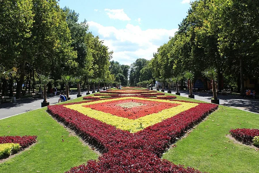 Дадоха дърветата в Бургас на британец