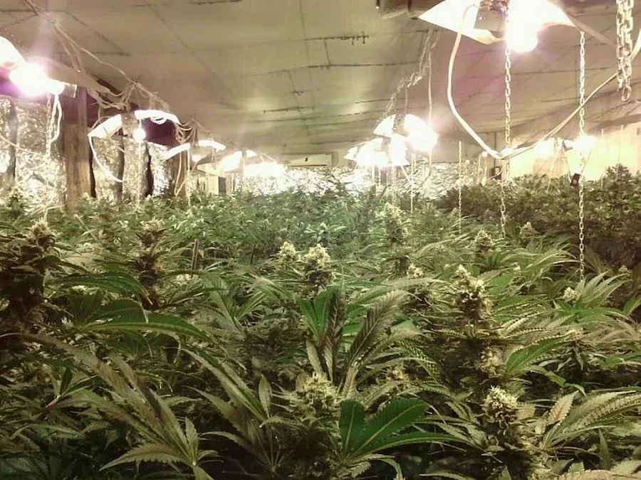 Разбиха нарко лаборатория край Пещера