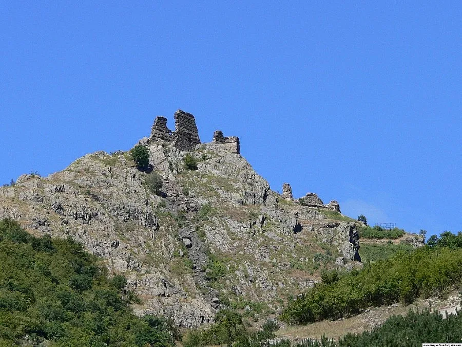 Гасят голям пожар и край село Анево