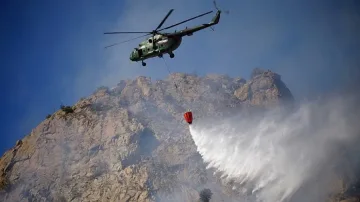 Пожарът край Кресна пак се събуди