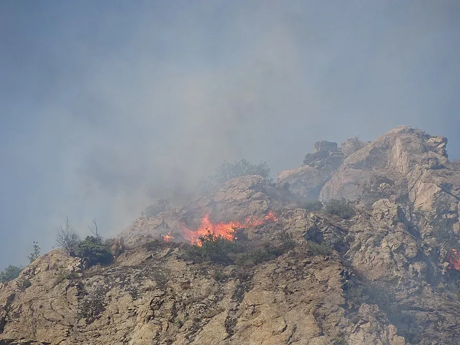 Екокатастрофа след пожара в Кресненското дефиле /ОБЗОР, ОБНОВЕНА/