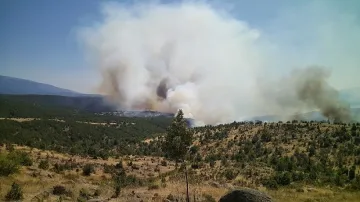 530 човека гасят пожара край Кресна /ОБНОВЕНА/