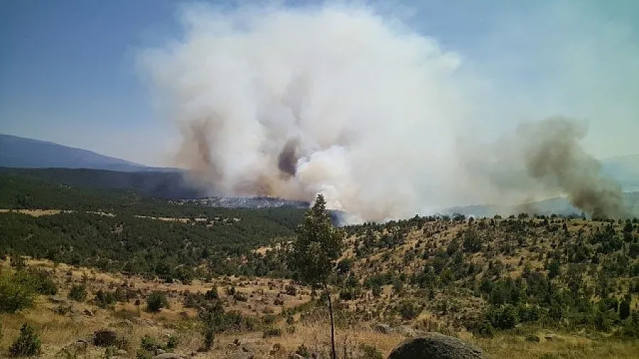 530 човека гасят пожара край Кресна /ОБНОВЕНА/
