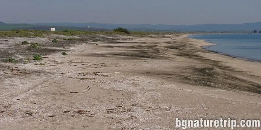 Руснак загина в Черно море край Косата