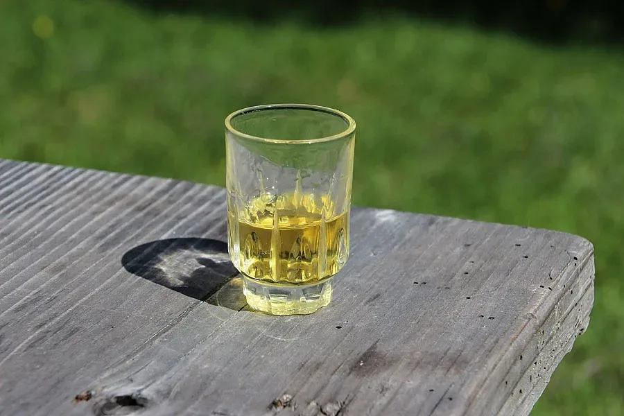 25 грама ракия за отскок за председателството на СЕ