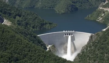 Камъкът в политическото блато